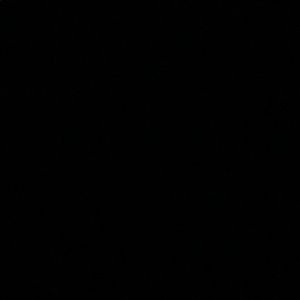 Meet your Posher, Ginny